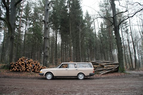 Alter Volvo vor Holzstapel